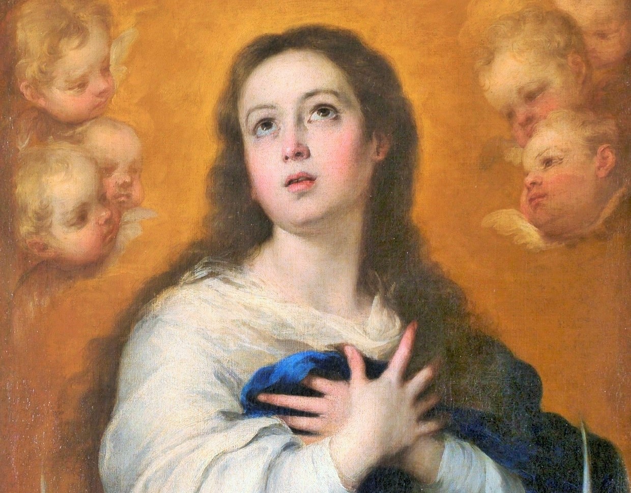 Novena inmaculada